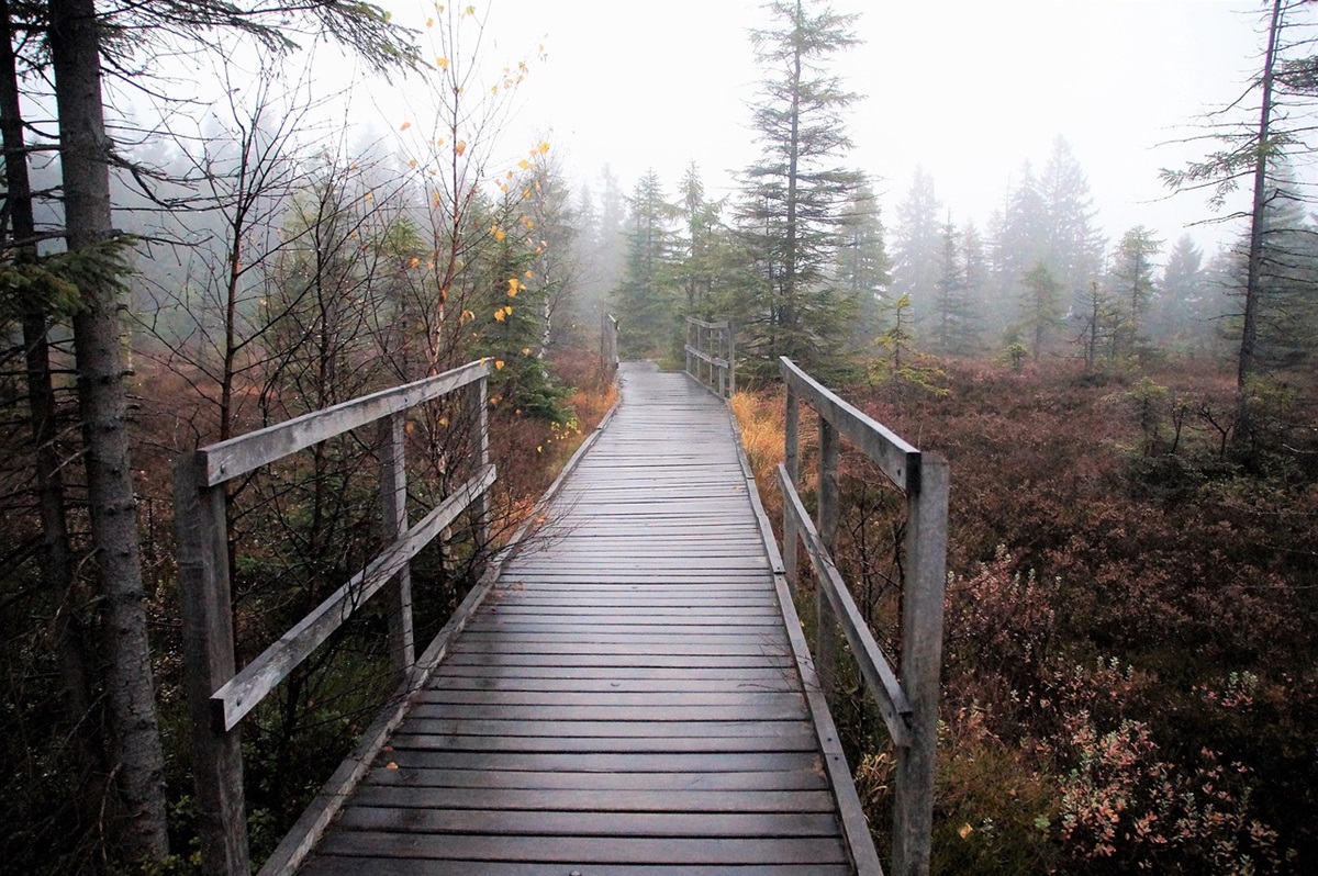 Синоптики розповіли, якою буде погода в Україні на вихідних