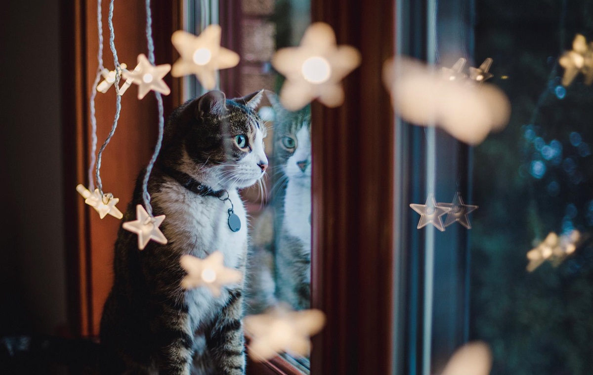 Синоптики спрогнозували, якою буде погода в неділю